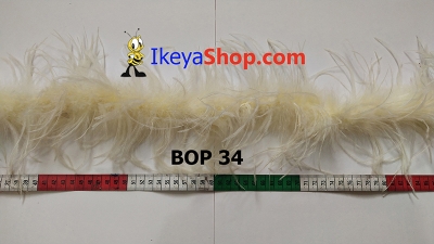 BOP 34  large2